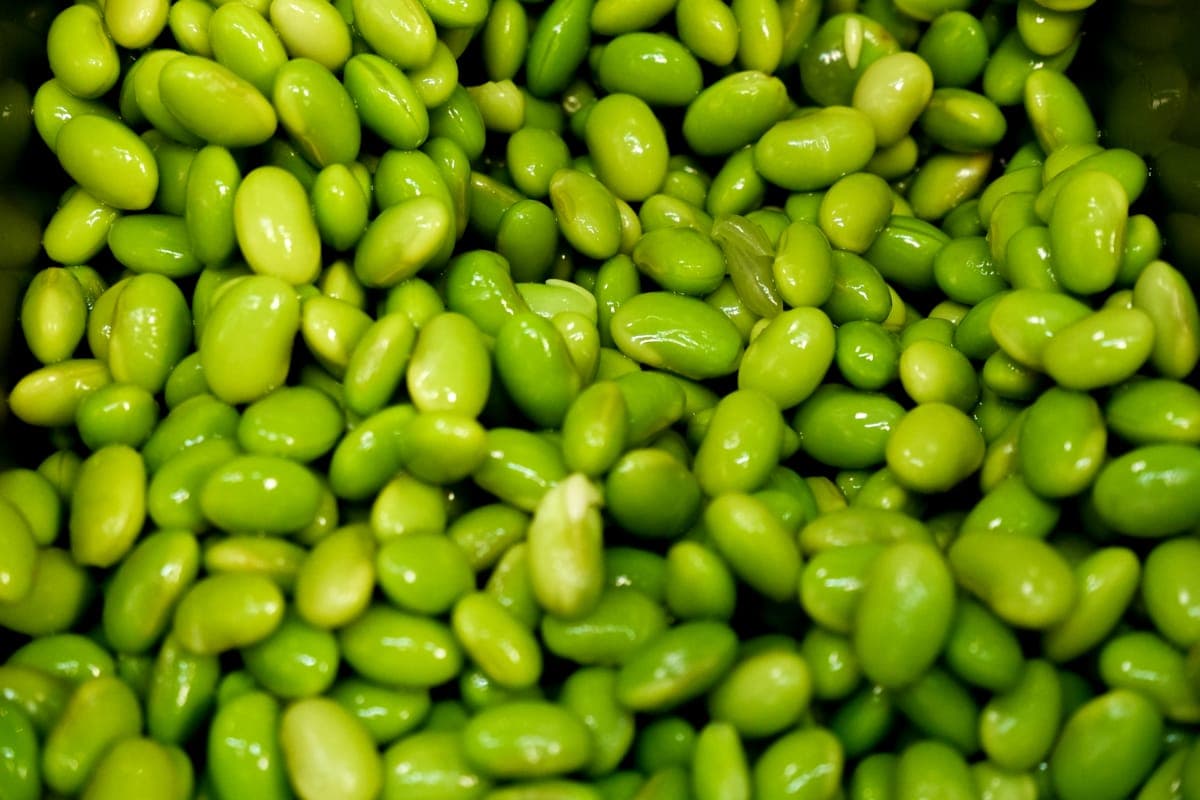 Edamame Beans