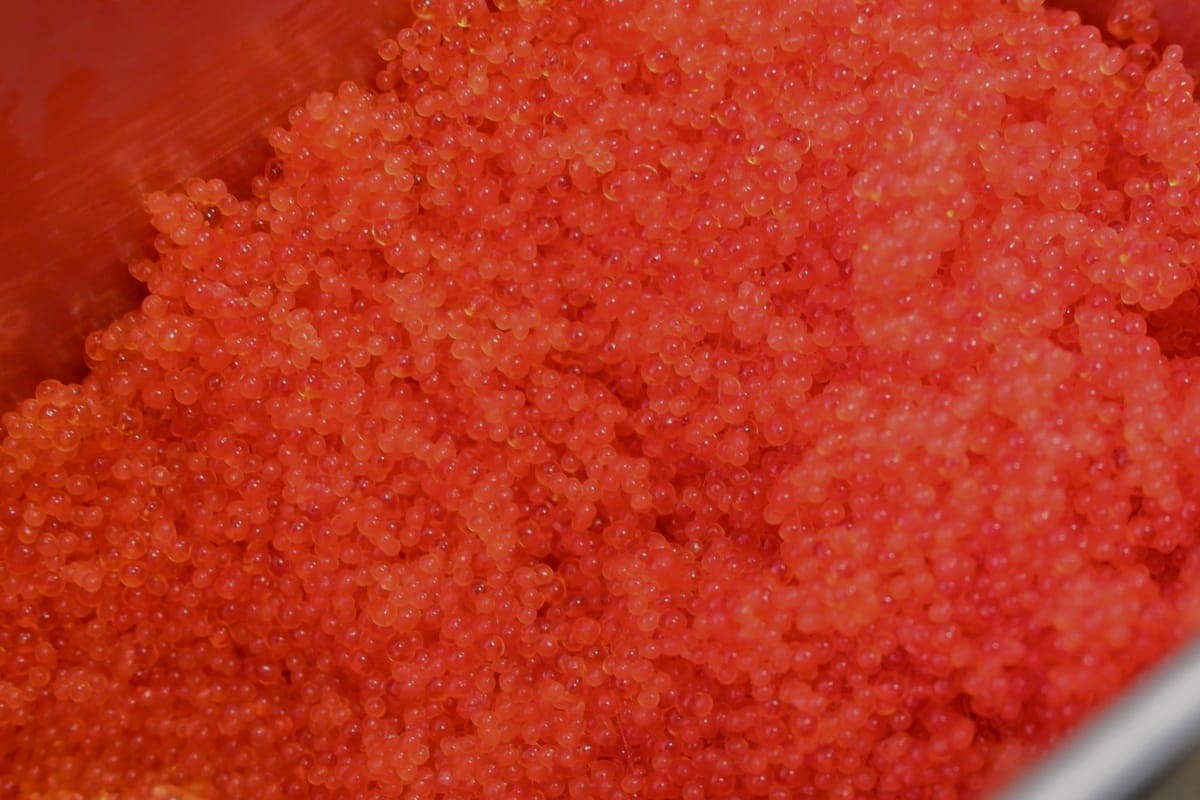 Red Tobiko